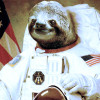 @astronaut_sloth@mander.xyz avatar