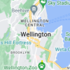 Wellington icon