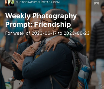 Friendship. Weekly photography prompt for June 17 - 23, 2023