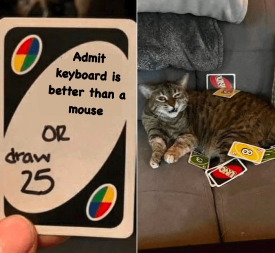*Uno card game meme*

"Admit keyboard ⌨️ is better than a mouse 🖱️🐁”
“..or draw 25”

😾