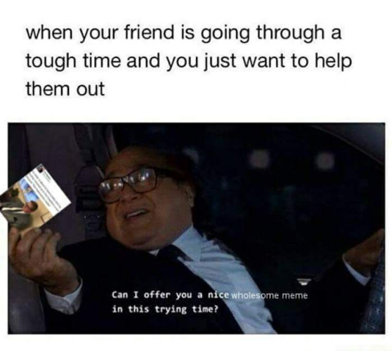 Danny DeVito is in a car, handing something to someone  outside the car. Someone has altered the image to have the object he is handing a screenshot of a meme.  

Top text:  when your friend is going through a hard time and you just want to help them out

Bottom text: can I off you a nice wholesome meme in this trying time?