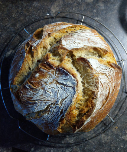 Ein rundes, unregelmäßig aufgerissenes Brot, an einigen Stellen noch mit Mehl bestäubt